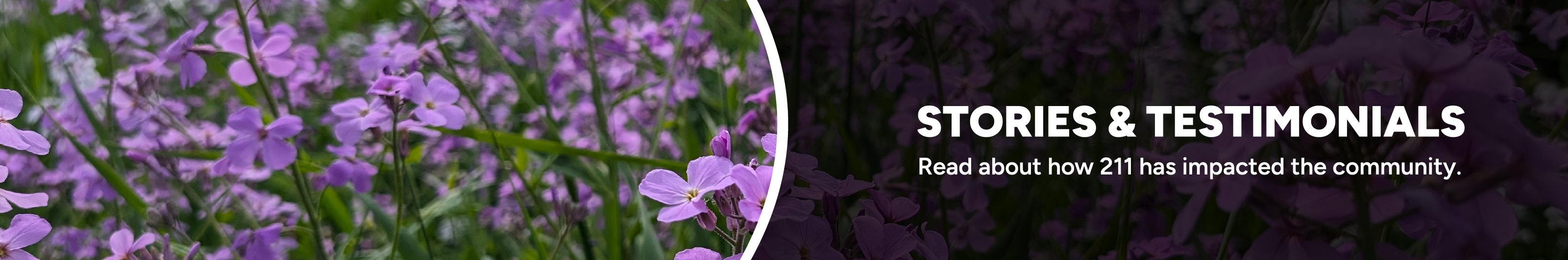 StoriesAndTestimonials banner